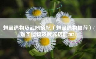 魈圣遗物及武器搭配（魈圣遗物推荐）(魈圣遗物及武器搭配2021)