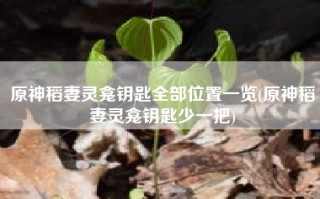 原神稻妻灵龛钥匙全部位置一览(原神稻妻灵龛钥匙少一把)