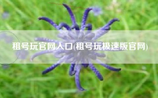 租号玩官网入口(租号玩极速版官网)
