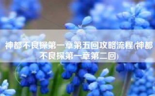 神都不良探第一章第五回攻略流程(神都不良探第一章第二回)