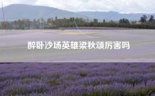 醉卧沙场英雄梁秋颂厉害吗