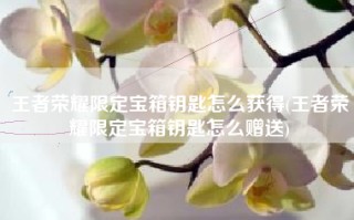 王者荣耀限定宝箱钥匙怎么获得(王者荣耀限定宝箱钥匙怎么赠送)