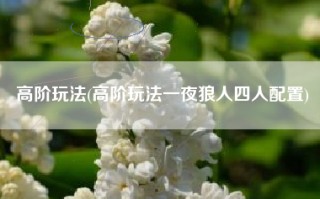 高阶玩法(高阶玩法一夜狼人四人配置)