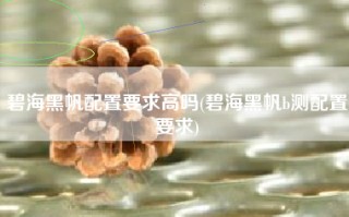 碧海黑帆配置要求高吗(碧海黑帆b测配置要求)
