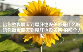 陪你熬夜聊天到爆肝也没关系是什么歌(陪你熬夜聊天到爆肝也没关系 的那个人呢)