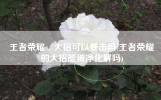 王者荣耀暃大招可以暴击吗(王者荣耀暃的大招能被净化解吗)