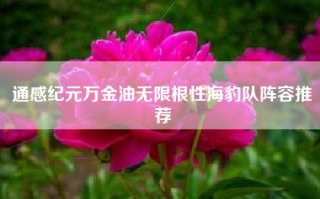 通感纪元万金油无限根性海豹队阵容推荐