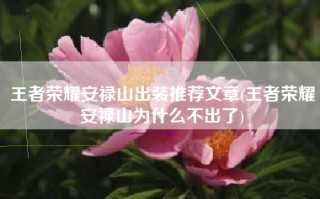 王者荣耀安禄山出装推荐文章(王者荣耀安禄山为什么不出了)
