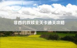 非酋的救赎全关卡通关攻略
