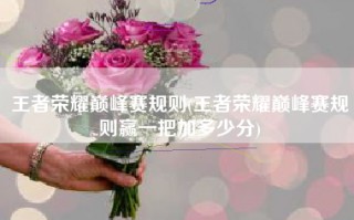 王者荣耀巅峰赛规则(王者荣耀巅峰赛规则赢一把加多少分)