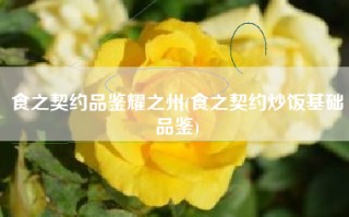 食之契约品鉴耀之州(食之契约炒饭基础品鉴)