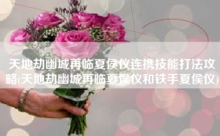 天地劫幽城再临夏侯仪连携技能打法攻略(天地劫幽城再临夏侯仪和铁手夏侯仪)