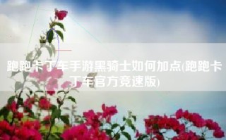 跑跑卡丁车手游黑骑士如何加点(跑跑卡丁车官方竞速版)