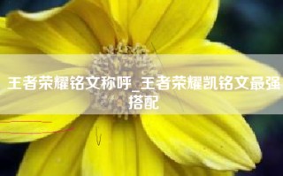 王者荣耀铭文称呼_王者荣耀凯铭文最强搭配