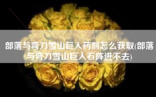 部落与弯刀雪山巨人药剂怎么获取(部落与弯刀雪山巨人石阵进不去)