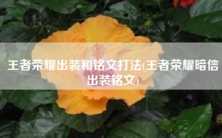 王者荣耀出装和铭文打法(王者荣耀暗信出装铭文)