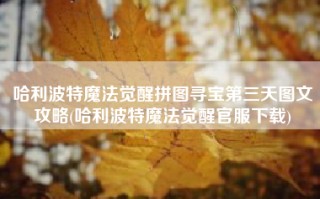 哈利波特魔法觉醒拼图寻宝第三天图文攻略(哈利波特魔法觉醒官服下载)