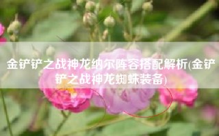金铲铲之战神龙纳尔阵容搭配解析(金铲铲之战神龙蜘蛛装备)