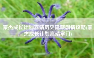 豪杰成长计划嘉靖历史隐藏剧情攻略(豪杰成长计划嘉靖掌门)