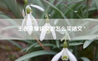 王者荣耀铭文页怎么买铭文