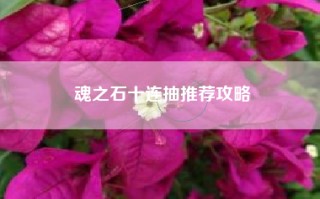 魂之石十连抽推荐攻略