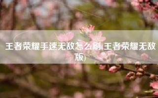 王者荣耀手速无敌怎么刷(王者荣耀无敌版)