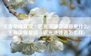 王者荣耀夏侯惇匿光决锋者语音是什么(王者荣耀夏侯惇匿光决锋者怎么样)