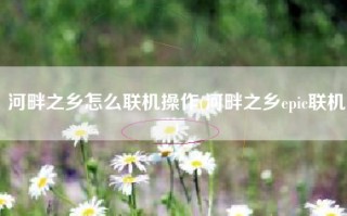 河畔之乡怎么联机操作(河畔之乡epic联机)