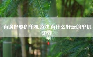 有啥好耍的单机游戏,有什么好玩的单机游戏