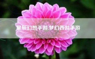 星辰幻想手游,梦幻西游手游