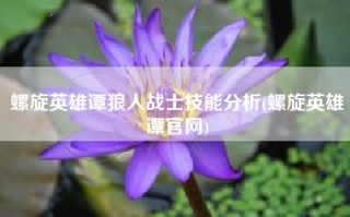 螺旋英雄谭狼人战士技能分析(螺旋英雄谭官网)