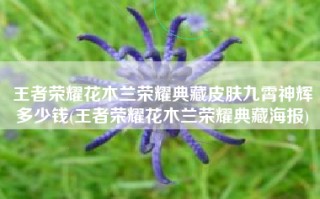 王者荣耀花木兰荣耀典藏皮肤九霄神辉多少钱(王者荣耀花木兰荣耀典藏海报)