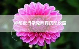 神都夜行录兕阵容搭配攻略