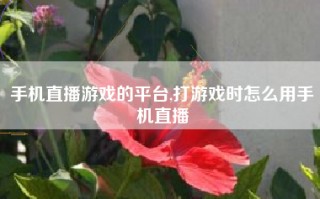 手机直播游戏的平台,打游戏时怎么用手机直播