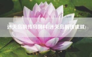 迷失岛前传鸟饲料(迷失岛前传成就)