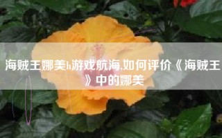 海贼王娜美h游戏航海,如何评价《海贼王》中的娜美