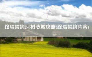 终焉誓约2-6树心城攻略(终焉誓约阵容)