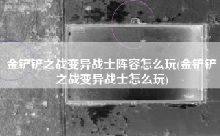 金铲铲之战变异战士阵容怎么玩(金铲铲之战变异战士怎么玩)