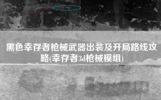 黑色幸存者枪械武器出装及开局路线攻略(幸存者3d枪械模组)