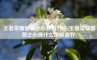 王者荣耀蔷薇之心获取方法(王者荣耀蔷薇之心换什么皮肤最好)