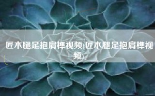 匠木腿足抱肩榫视频(匠木腿足抱肩榫视频)