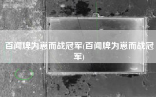 百闻牌为崽而战冠军(百闻牌为崽而战冠军)
