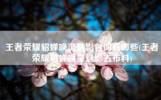 王者荣耀貂蝉唤灵魅影台词有哪些(王者荣耀貂蝉唤灵魅影去布料)