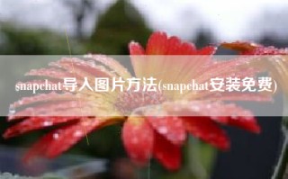 snapchat导入图片方法(snapchat安装免费)
