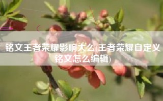 铭文王者荣耀影响大么(王者荣耀自定义铭文怎么编辑)