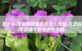 龙之谷2手游删除角色后怎么恢复(龙之谷2手游哪个职业适合平民)