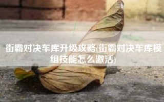 街霸对决车库升级攻略(街霸对决车库模组技能怎么激活)