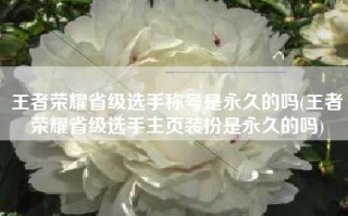 王者荣耀省级选手称号是永久的吗(王者荣耀省级选手主页装扮是永久的吗)