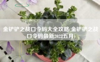金铲铲之战口令码大全攻略(金铲铲之战口令码最新2022五月)
