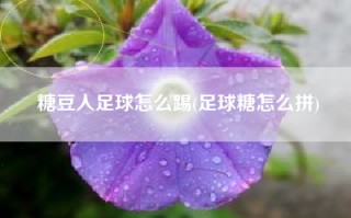 糖豆人足球怎么踢(足球糖怎么拼)